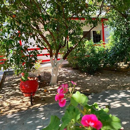 Cottonclub Villas Толон Екстериор снимка