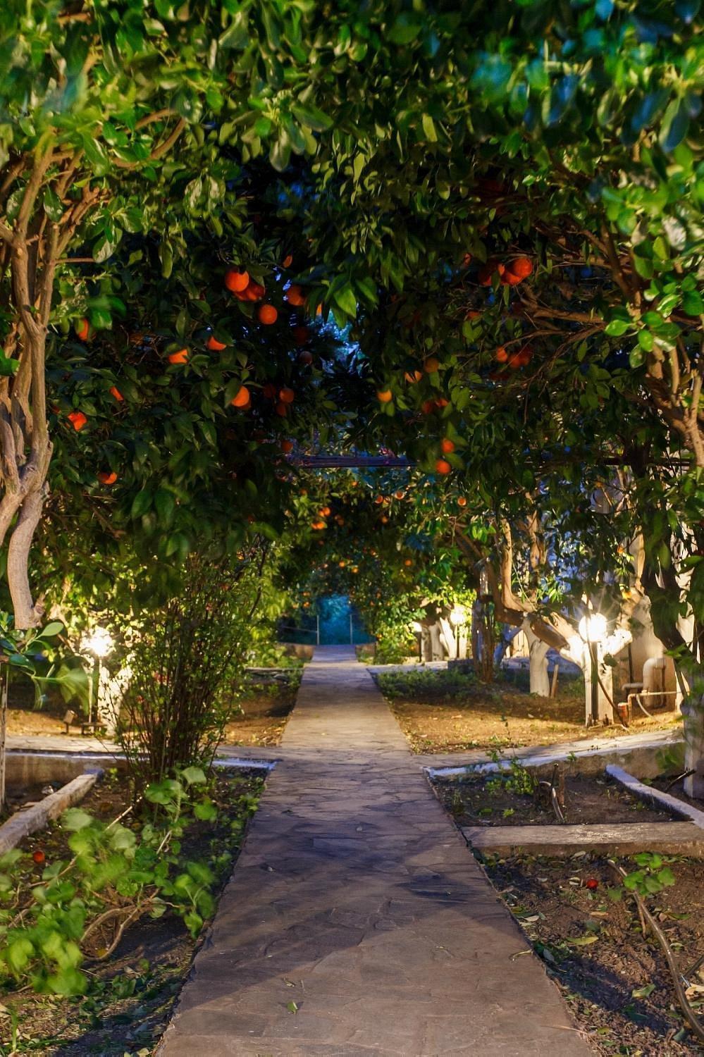 Cottonclub Villas Толон Екстериор снимка