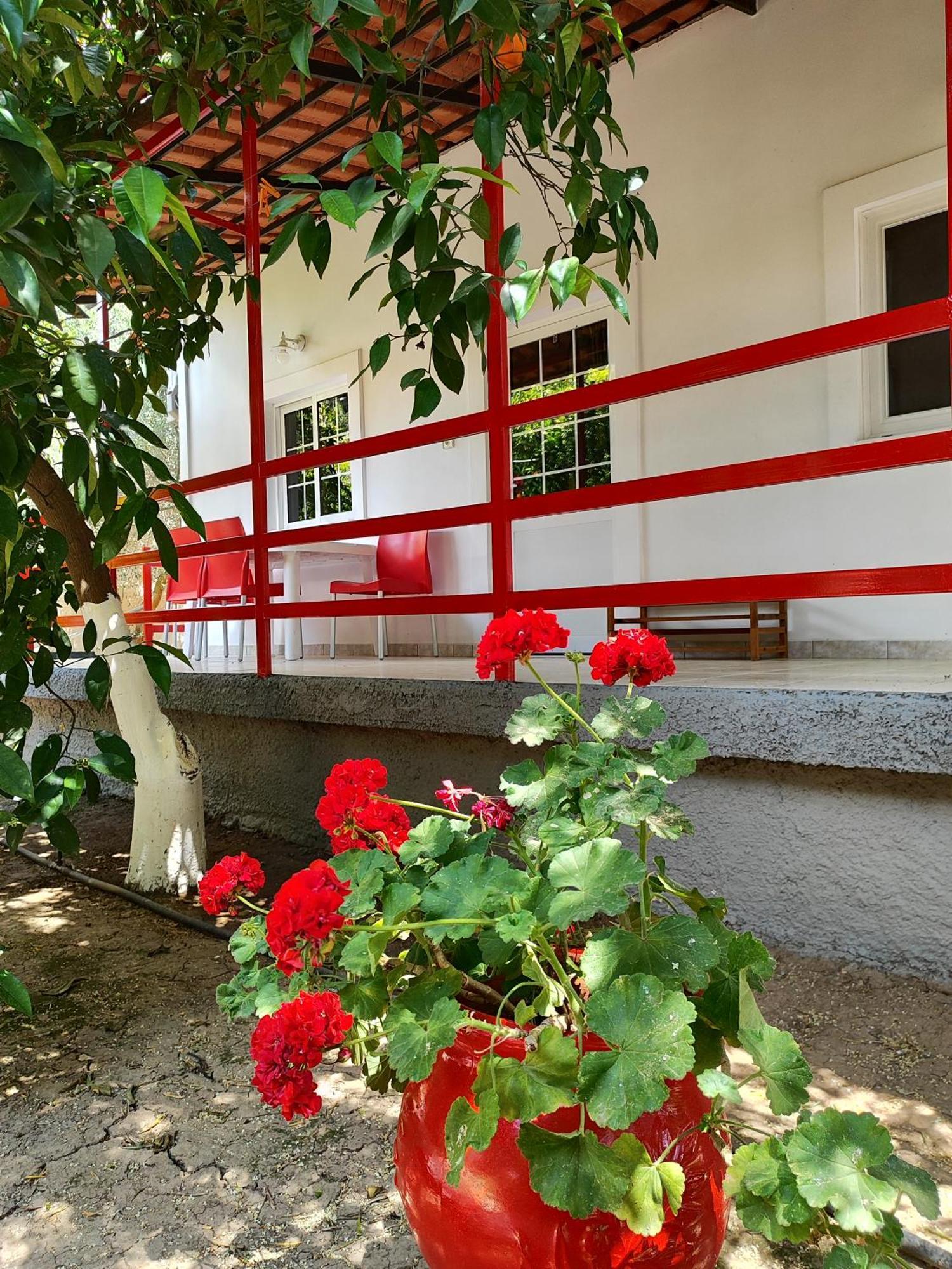Cottonclub Villas Толон Екстериор снимка