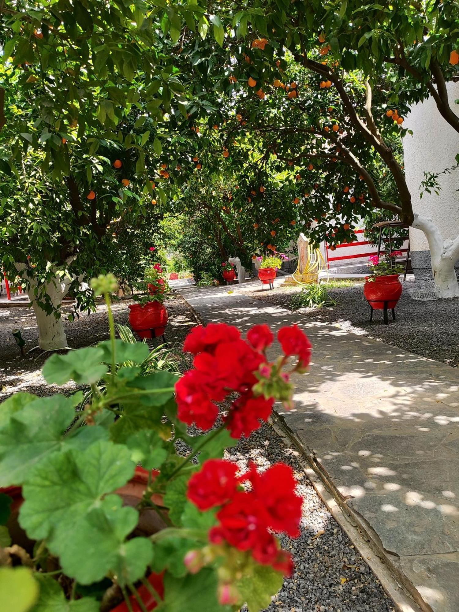 Cottonclub Villas Толон Екстериор снимка