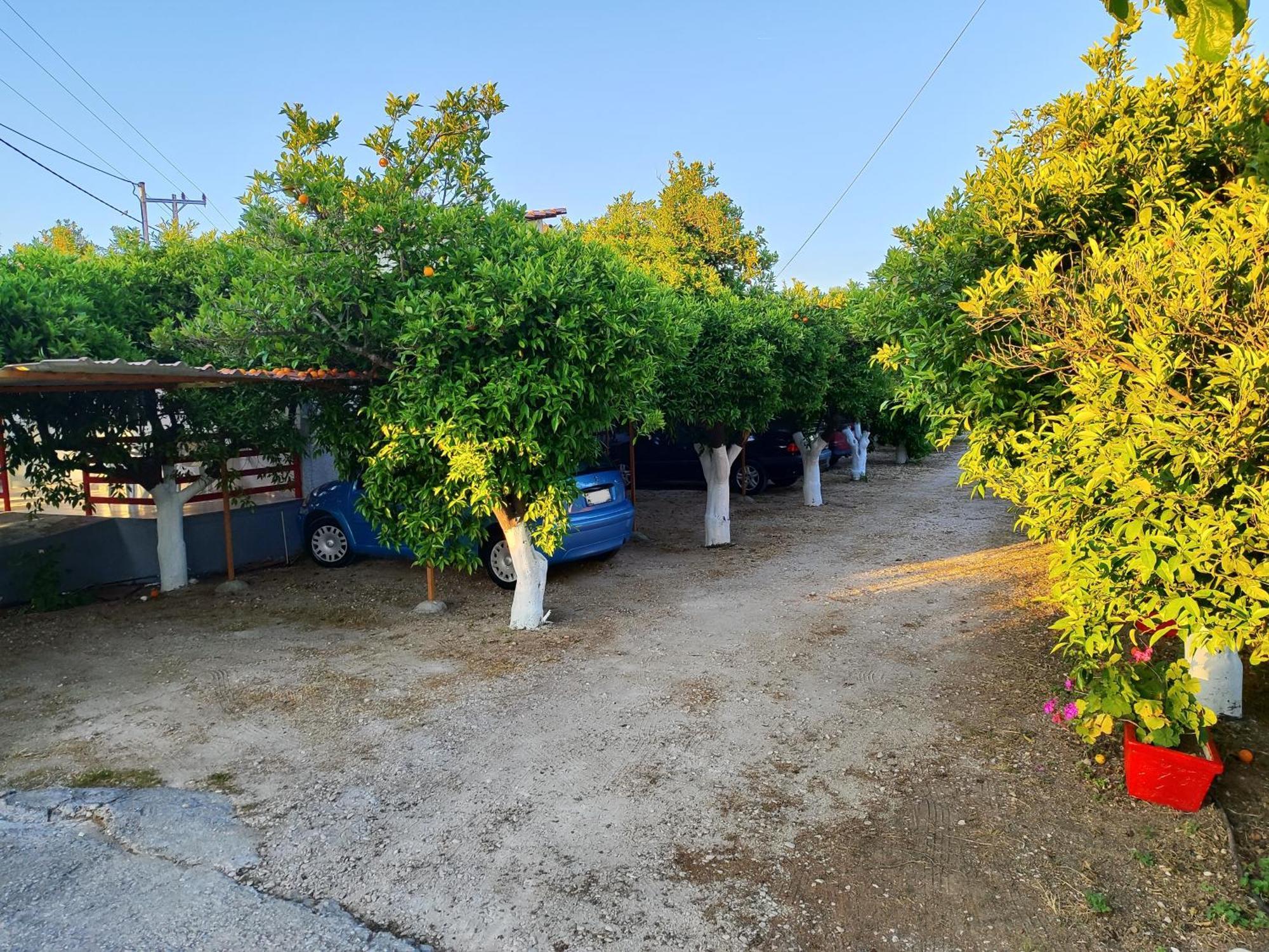 Cottonclub Villas Толон Екстериор снимка