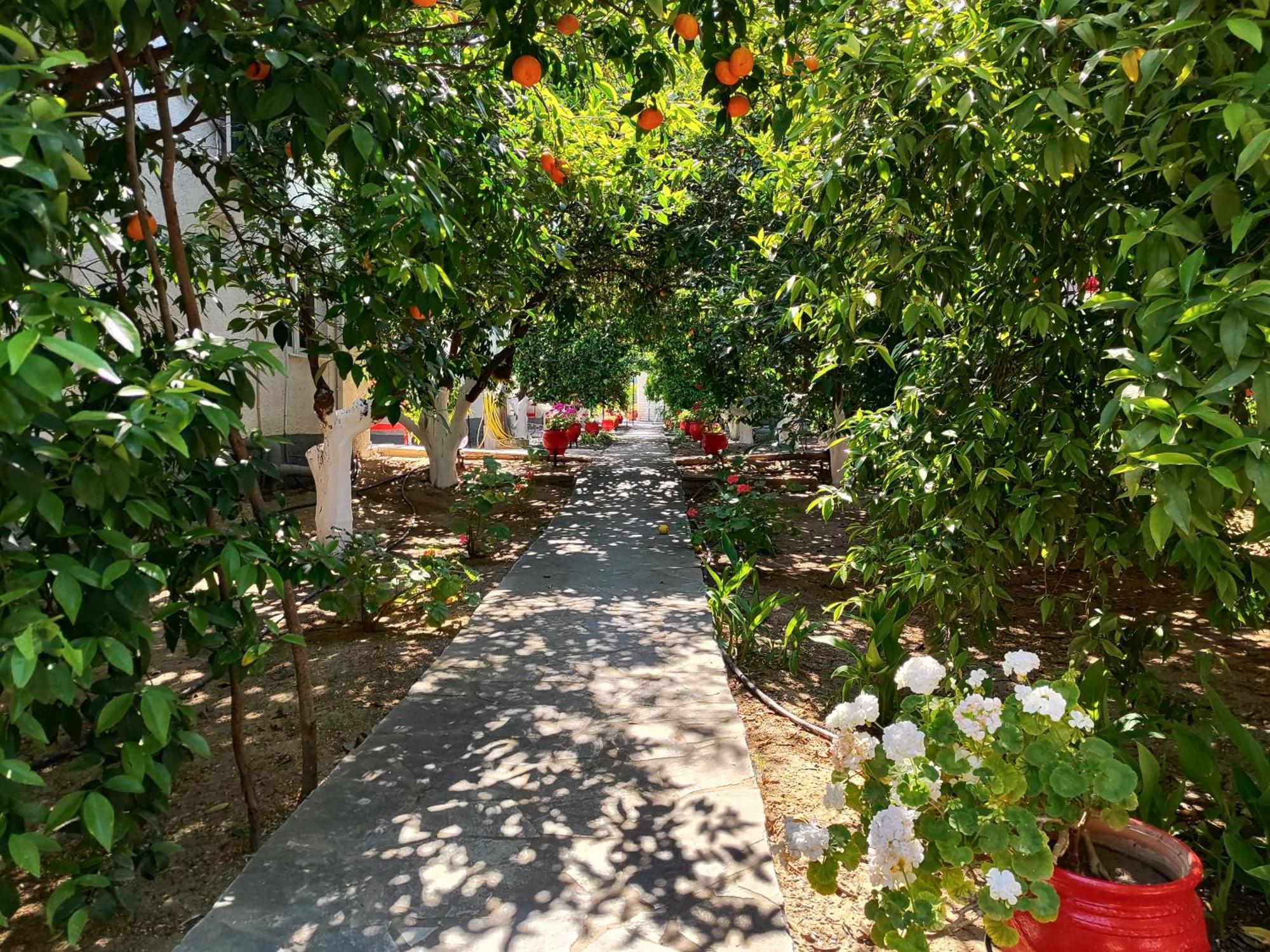 Cottonclub Villas Толон Екстериор снимка