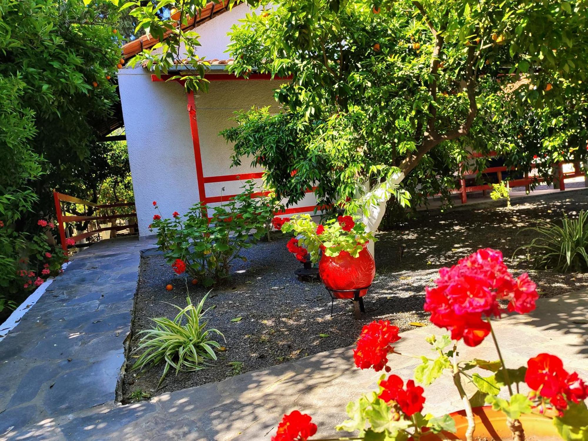 Cottonclub Villas Толон Екстериор снимка